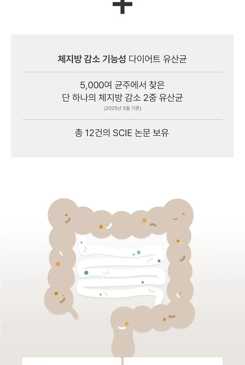 [포켓몬 에디션] 덴프스 유산균이야기 다이어트 14캡슐 기획 (+피카츄 러기지택) (14일분) (OY단독) 상세페이지 37